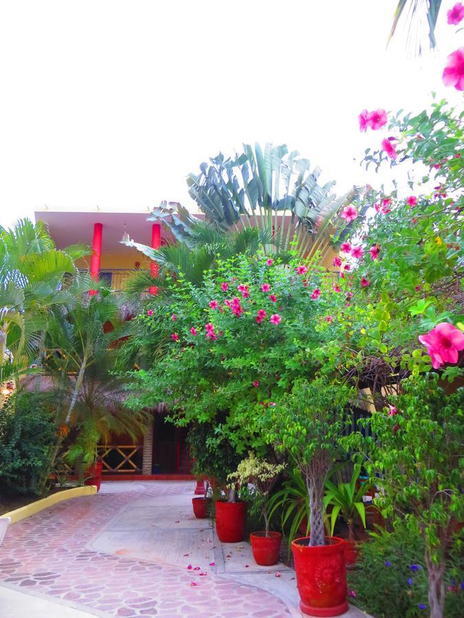La Cruz Inn La Cruz de Huanacaxtle Buitenkant foto